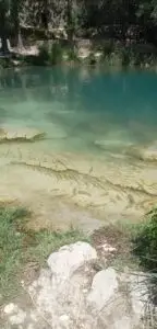 Lots of catfish are swimming in the crystal clear water of Pozo de los caballos