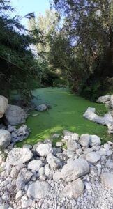 Extra pools hidden away at the northern end of the Barranco de la Encantada