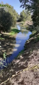 River at Los Chorradores