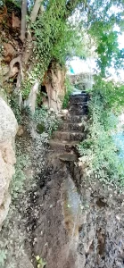 Stairs leading up to cliff jumping at Gorgo Catalán