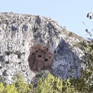 The Cova dels Nou Forats can be seen up high in the wall of the mountain from the car park