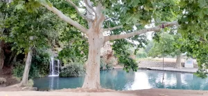 The beautiful Gorgo Catalan with waterfall, pool and tree swing