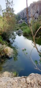 The tranquil and idilic pool at the southern end of the Barranco de la Encantada where the snakes swim