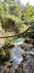 A tree swing hangs above the river leading from the Cascada de Anna waterfall