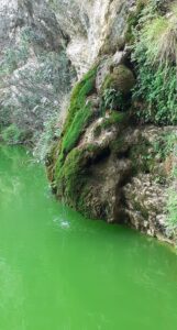 Water trickles from the waterfall into the bright green Gorg del Salt pool below