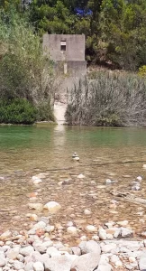 The serene Plajeta del Franc beach on the Júcar river