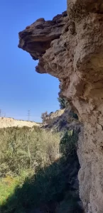 Cliff to the left (looking back down the canyon)