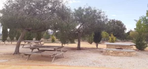 Picnic area near Assut de Mutxamel