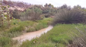 River after the rain