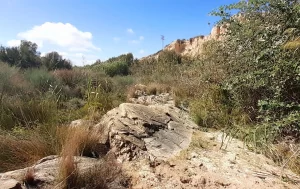 Rock leading to the wild route