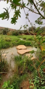 Stepping stones