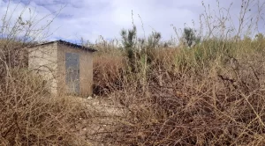 The path disappears after this building!