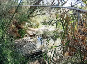 Trick crossing on the Assut de Sant Joan hiking route