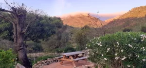 View from the holiday home in Jalón Valley