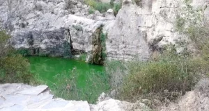 View of the Gorg del Salt from near the top of the steps