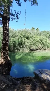 Wild Child Costa Blanca Wild Swimming