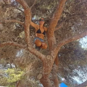 Wild Child Costa Blanca in a tree