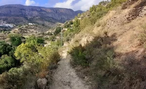 Path down to the mill