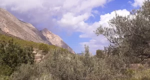 Beautiful scenery from the Ruta de Agua Sella hiking route