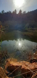 Los Aglezares Aspe, Lago Busi