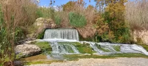 Los Algezares Aspe, Pantano de elche, Elche pantano